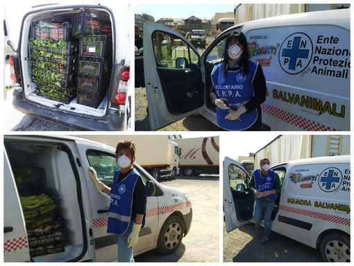 Enpa e City Angels Savona in prima linea per aiutare gli animali del circo Millennium