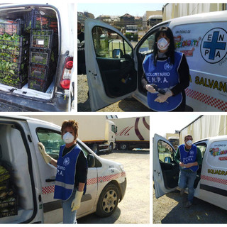 Enpa e City Angels Savona in prima linea per aiutare gli animali del circo Millennium