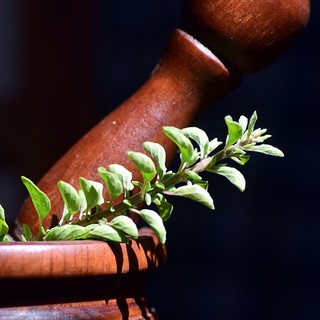 Gli oli essenziali più popolari in Italia