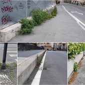 "Manca la manutenzione del verde, erbacce ovunque". Interpellanza della lista Toti per Savona