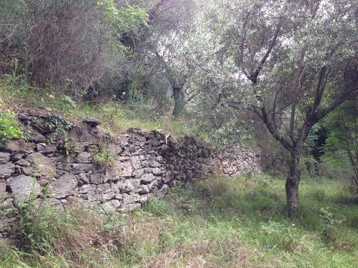 Coldiretti: "Il turismo ama la Liguria a settembre, tra mare e piccoli borghi" Coldiretti: "Il turismo ama la Liguria a settembre, tra mare e piccoli borghi"