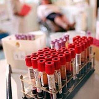 Emergenza terremoto, i savonesi in coda per donare sangue