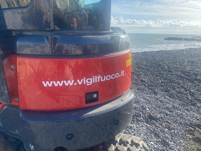 Capriolo si tuffa a Bergeggi: restituito al bosco dai Vigili del fuoco