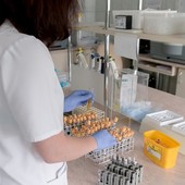 ASL2: aumentano le visite ambulatoriali nel 2025, superati i 4 milioni di prestazioni ASL2: aumentano le visite ambulatoriali nel 2025, superati i 4 milioni di prestazioni