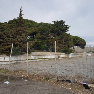 L’ex spiaggia dei militari a Vadino d’Albenga diventerà una spiaggia attrezzata per gli amici a 4 zampe