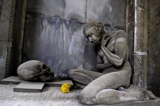 Savona: Storie di una ecatombe, raccolte da Alma Carlevarino Savona: Storie di una ecatombe, raccolte da Alma Carlevarino