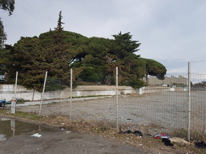 L’ex spiaggia dei militari a Vadino d’Albenga diventerà una spiaggia attrezzata per gli amici a 4 zampe