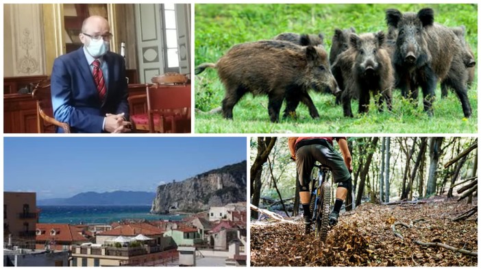 L'ombra della peste suina sul mondo outdoor finalese? Frascherelli: "Attenzione per limitare il contagio e i suoi danni" L'ombra della peste suina sul mondo outdoor finalese? Frascherelli: "Attenzione per limitare il contagio e i suoi danni"