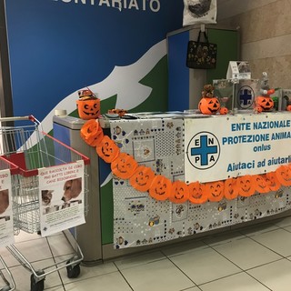 Savona: oggi raccolta alimentare per cani e gatti con i volontari Enpa