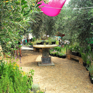 Ad Andora torna la feste delle erbe aromatiche, officinali e antiche piante Ad Andora torna la feste delle erbe aromatiche, officinali e antiche piante