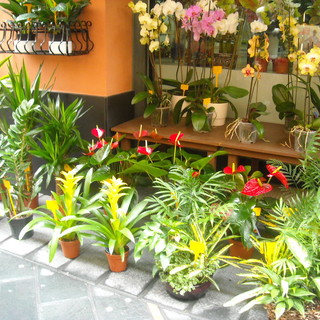 La Regione presente alla Fiera Ipm di Essen, in Germania