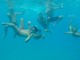 Albissola Marina: dal 29 luglio al 2 agosto “Un Tuffo nel Blu”, campo estivo di snorkeling