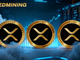 L'entusiasmo del mercato per la crescita di XRP alimenta l'interesse per le piattaforme di cloud mining come FED Mining
