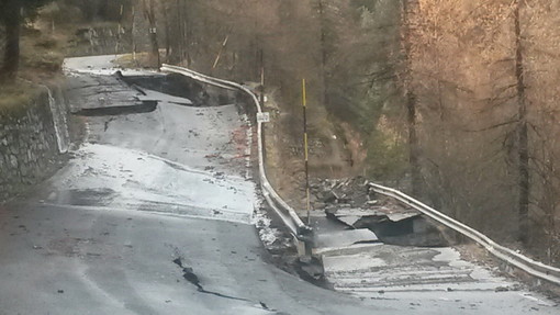 Immagine generica Immagine generica