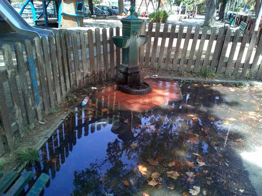 Savona, fontana rotta e l'acqua si disperde: la denuncia di Roberto Nicolick Savona, fontana rotta e l'acqua si disperde: la denuncia di Roberto Nicolick