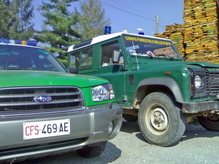 Calice Ligure: controlli del Corpo Forestale sequestrati mezzi per movimento terra Calice Ligure: controlli del Corpo Forestale sequestrati mezzi per movimento terra