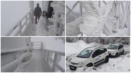 Foto pagina Facebook "Arpal"