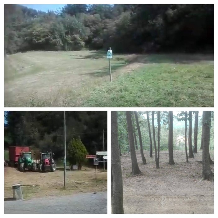 34° Fiera di San Bartolomeo, l'assessore del Comune di Savona Zunato: "Prove tecniche per la due giorni del prossimo anno"