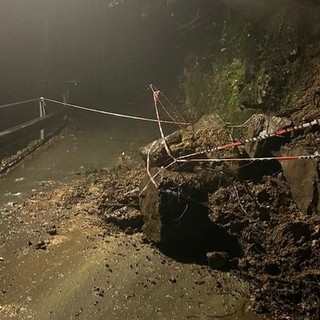 Maltempo in Liguria, frane e smottamenti: un albero caduto a Stella in località Verne
