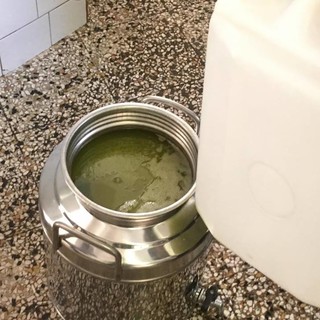 Archeotrekking Finale organizza una passeggiata alla scoperta della cultura dell'ulivo e dell'olio nuovo