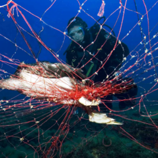 Savona, ATA organizza il 3° concorso fotografico "L’ambiente intorno a noi"