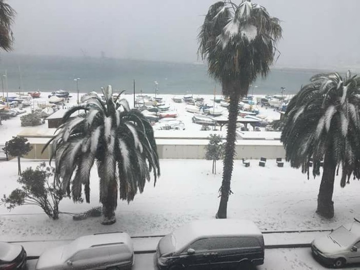 Emergenza neve, il vicepresidente della Provincia Isella: “Nessuna strada oggi è lasciata in condizione di non sicurezza di transito" Emergenza neve, il vicepresidente della Provincia Isella: “Nessuna strada oggi è lasciata in condizione di non sicurezza di transito"