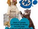 Ad Albenga giornata a favore degli animali bisognosi