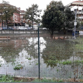 Albenga, salta un tombino e i liquami inondano l'area cani (FOTO)