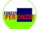 Elezioni Onzo: ecco la lista "Foresti per Onzo" che propone Giuliano Arnaldi sindaco