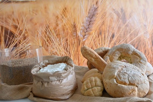 Alluvione Emilia Romagna, Coldiretti/Cai: "Persi raccolti per 200 mln di kg di pane"