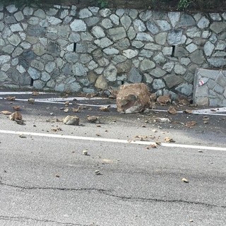 Anas, riaperta la via Aurelia tra Noli e Spotorno