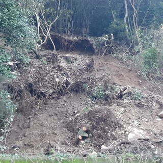 Albisola, chiusa nuovamente causa frana la SP 2 in località Ellera (FOTO e VIDEO)
