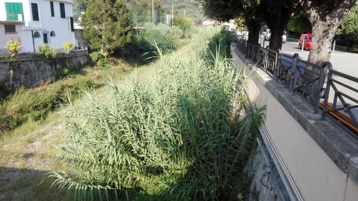 Finale, stanziati 180 mila euro in tre anni per la pulizia dei fiumi