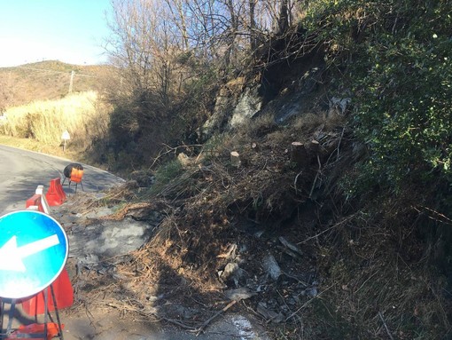 Stella: frana invade la carreggiata. Viabilità regolata da semaforo