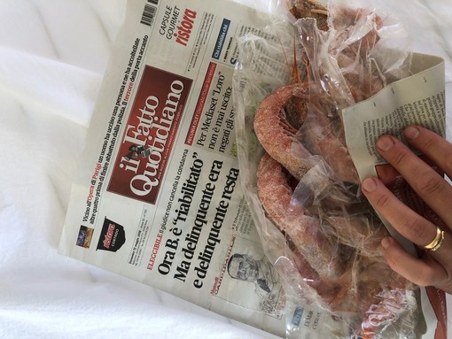 Berlusconi ricandidabile, Ciangherotti: "Con Il Fatto Quotidiano ci incarto il pesce"