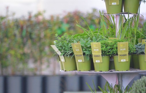 Il Salone dell’Agroalimentare 2019 si tinge di lilla e profuma di Liguria