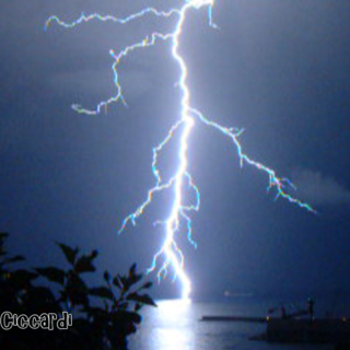 #Maltempo: acquazzoni e alberi caduti, interventi dei vigili del fuoco nella notte