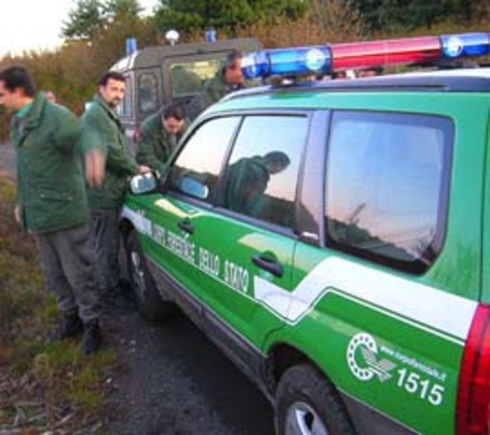 Calizzano: trovato senza vita l'anziano cercatore di funghi disperso Calizzano: trovato senza vita l'anziano cercatore di funghi disperso