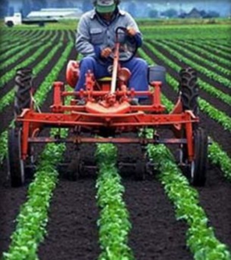 Liguria: agricoltura, calano gli infortuni sul lavoro