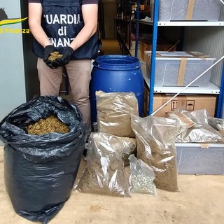 Blitz della Finanza, scoperto laboratorio per la produzione di hashish e marijuana: 4 arresti e 180 kg di droga sequestrati