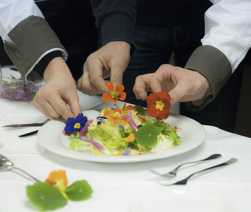 Fiori, belli, buoni e fanno bene, ad Albenga il progetto Antea si sviluppa e cresce