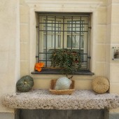 Insolito furto a Zuccarello: rubate le zucche decorative del borgo dopo la recente festa Insolito furto a Zuccarello: rubate le zucche decorative del borgo dopo la recente festa