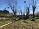 Albenga: parco alla foce del Centa abbandonato, le osservazioni della minoranza