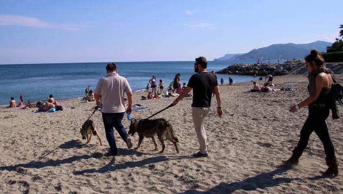 OSA e PAI: "Spiaggia aperta ai cani a Celle? Meglio che niente..." OSA e PAI: "Spiaggia aperta ai cani a Celle? Meglio che niente..."