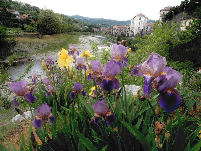 Millesimo, un'area abbandonata diventa un giardino colorato grazie al pollice verde di Patrizia