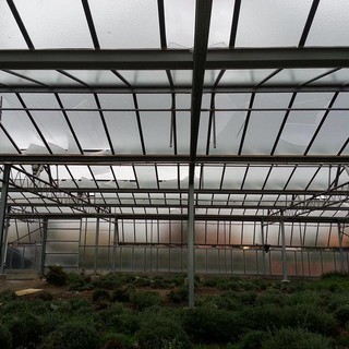 Cia Liguria” Non pagheremo l’IMU il 26 gennaio: pronti alla mobilitazione della categoria”