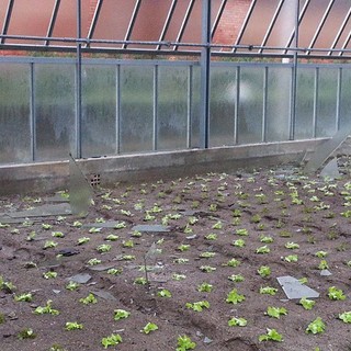 Maltempo: la devastazione della piana di Albenga a "Striscia la notizia"