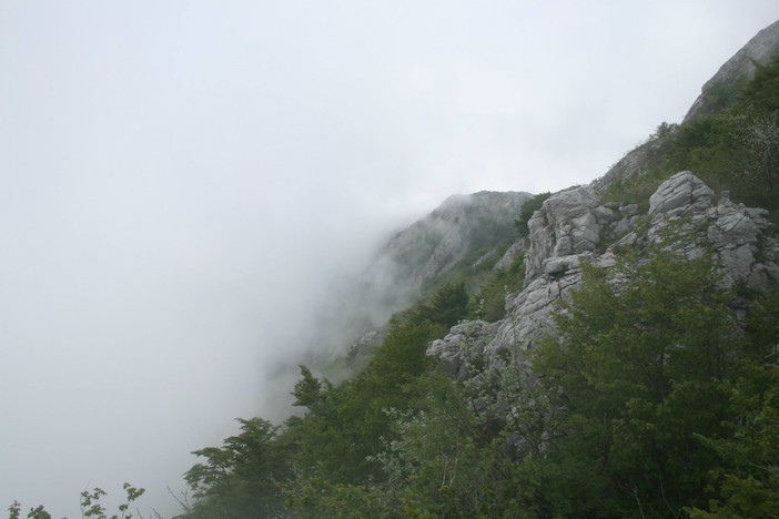 Immagine di repertorio