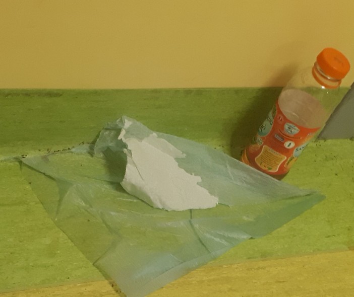 Pietra: formiche al pronto soccorso (FOTO) Pietra: formiche al pronto soccorso (FOTO)