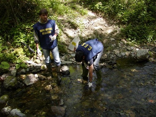 Sicurezza ambientale: il bilancio del Corpo Forestale ligure